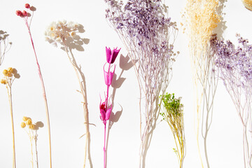 Closeup of Dried Flowers on White Background 