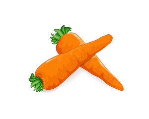 Set of Two Carrots vegetable vector illustration isolated on white background