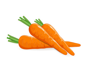Vector illustration of Carrots vegetables isolated on white background