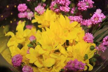 Obraz na płótnie Canvas yellow chrysanthemum flower background, yellow chrysanthemum flower bouquet
