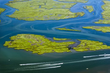 Foto op Plexiglas Wetlands with speedboats near airport, New York, USA © Vidu Gunaratna