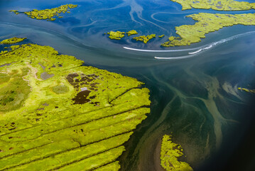 Wetlands near JFK Airport, New York, USA