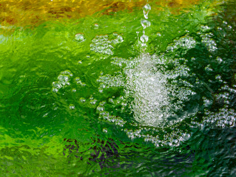 藻 Images Browse 2 692 Stock Photos Vectors And Video Adobe Stock