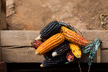 Top view of colorful corns inside a basket