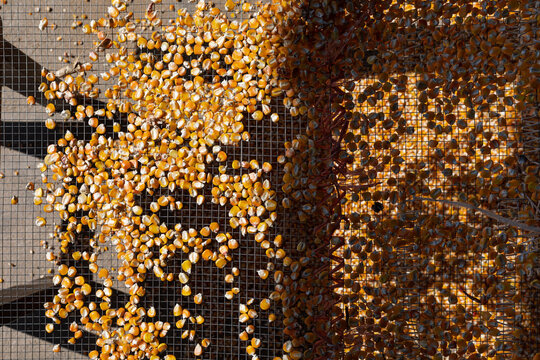 Kernels on a mesh in the sun
