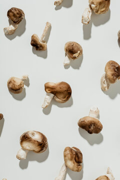 Shitake mushrooms