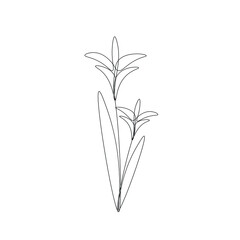 Flowers on white background vector illustration