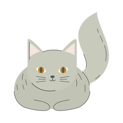 cat on white background