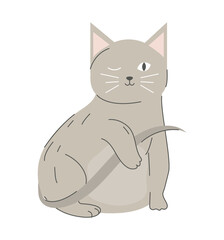 cat winking eye