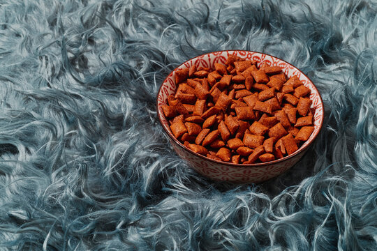 bowl with dry dog food