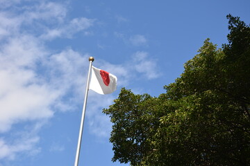 日本国旗 - obrazy, fototapety, plakaty