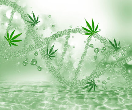 cannabis molecule, cdb oil