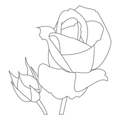 Beautiful Easy Roses Flowers Coloring book For Preschool Children. Cute Educational Roses Flowers Coloring Page For Kids