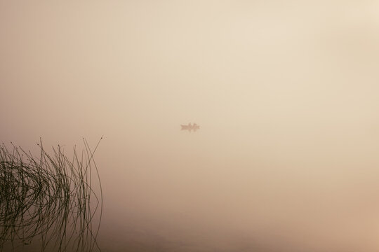 Fishing boat in the fog