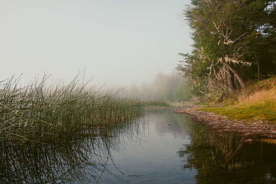 Foggy morning at a lake