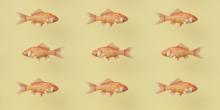 Repeating patterns: goldfish