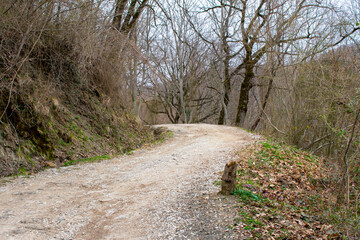 Old dirt road in the forest in the Caucasus. Spring. Natural lighting without filters and effects. Tourist trail.