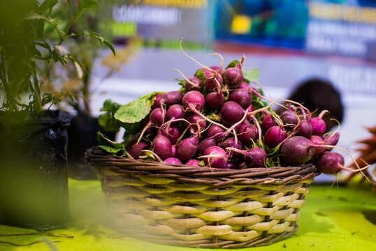 Basket Of Radishes