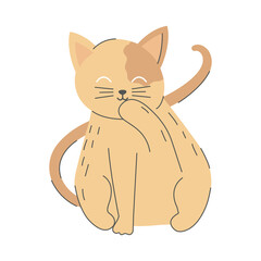 cat isolated icon