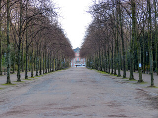 Path  in park and trees