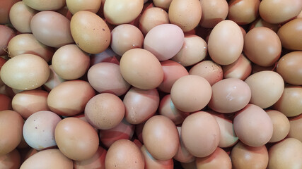 group of preserved or uncooked chicken eggs best for poultry and cooking background.