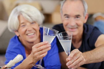 glad senior couple holding toasting
