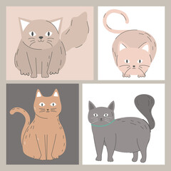 cats pet animals
