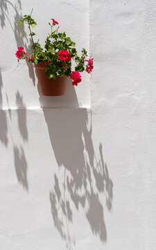 Beautiful white town with flowers in summer