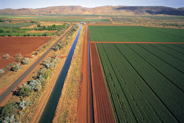 Crops under irrigation at Kununurra on the Ord river Western Australia .