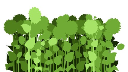 Sunflower grows in field. Harvest agricultural plant. Silhouette picture. Rural summer field. Farmer farm illustration. Object isolated on white background. Vegetable garden cultivation. Vector