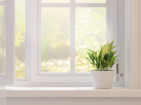 3D render close up of a garden view white bay window with a green minimal leaves plants in a pot. Morning sunlight show beautiful window frame shadow. Background, Mock up, Products overlay, Space.