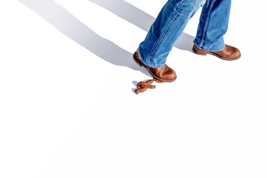 Boots in Jeans treten bei Sonnenschein in einen Hundehaufen