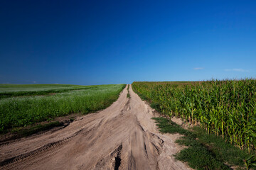 empty, paved road in the countryside in the form of a track from the wheels of cars