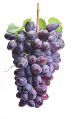 Grapes on a white background