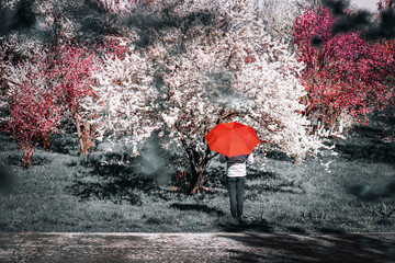 Person with umbrella standing by blooming trees in the park during springtime