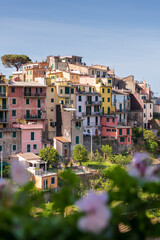 Corniglia, Cinque Terre, Liguria, Italy