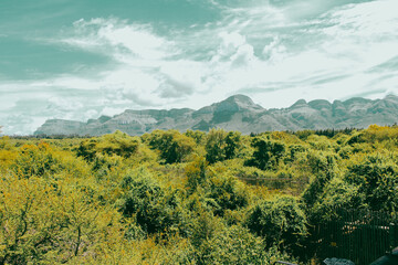 Panorama of Africa