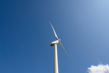 Windmill generator of electricity, windmill generator, seen from the ground, you can see the mill with its three blades, white on a blue sky.
