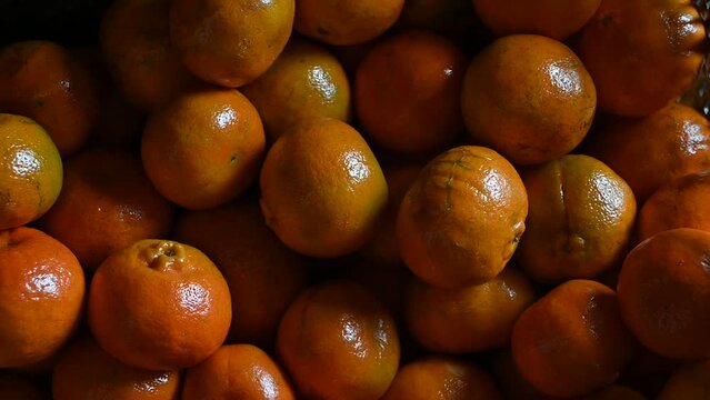 waxed tangerines ready for the super market