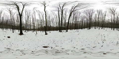 Winter Forest covered with snow HDRI Panorama