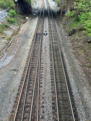 Obraz premium railway in the forest