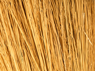 The texture of a large number of dried stems of a shrub folded together. Yellow natural color. Closeup