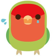 コザクラインコ　悲しい　不安