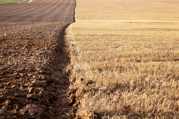 tillage in the agricultural field for planting a new crop