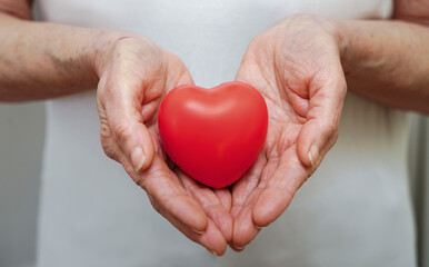 Obraz na płótnie Canvas Grandmother woman hands holding red heart, healthcare, love, organ donation, mindfulness, wellbeing, family insurance and CSR concept, world heart day, world health day, national organ donor day