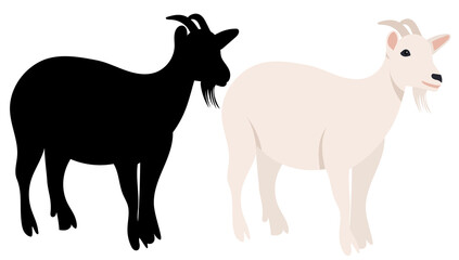 goat flat design, isolated, vector