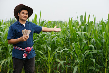 Asian man farmer is at organic maize garden, holds Thai banknote money, makes hand gesture to...