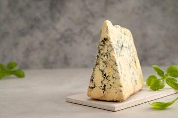 Blue cheese piece with fresh basil leaves over gray background. One triangle of cheese.