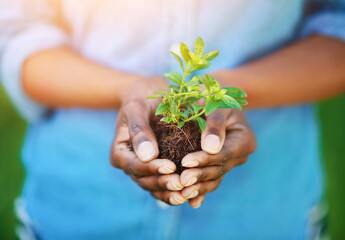 Conserving the environment. Cropped shot of a person holding a plant growing in soil.
