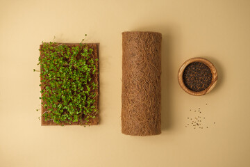 set for growing microgreens, coconut cloth, seeds on beige background, micro greens concept